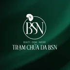 BSN Logo